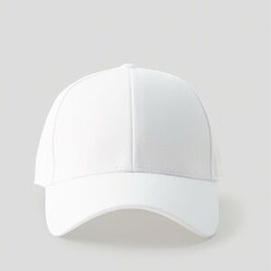 Aritzia Classic Baseball Cap